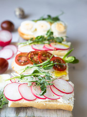 Breakfast sandwiches with cream cheese, quail eggs, tomatoes, radish and micro green on a ceramic plate, light grey background. Healthy snack. Close up.