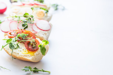 Variety of sandwiches with quail eggs, tomatoes, radish and micro green on a light grey background, selective focus. Party starter or appetizer. Close up.
