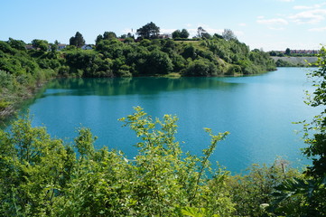 landscape with lake and forest