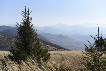 Bieszczady Mountain park with top view in high sun