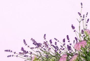 Beautiful frame of lavender flowers