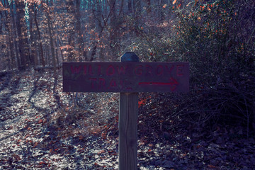 willow grove trail sign