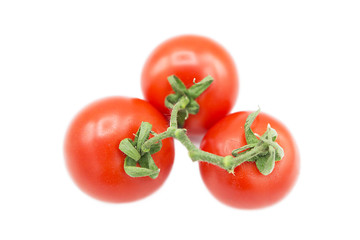 Ripe fresh organic tomatoes on a branch isolated on a white background. Top view.
