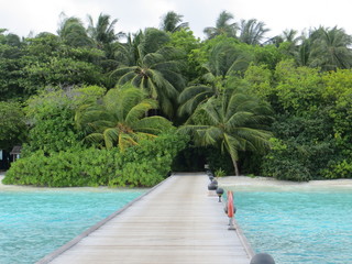 Tropical island on Maldives