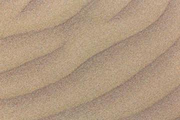 Fototapeta na wymiar closeup sand texture on the beach
