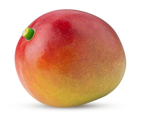 Mango exotic friut
