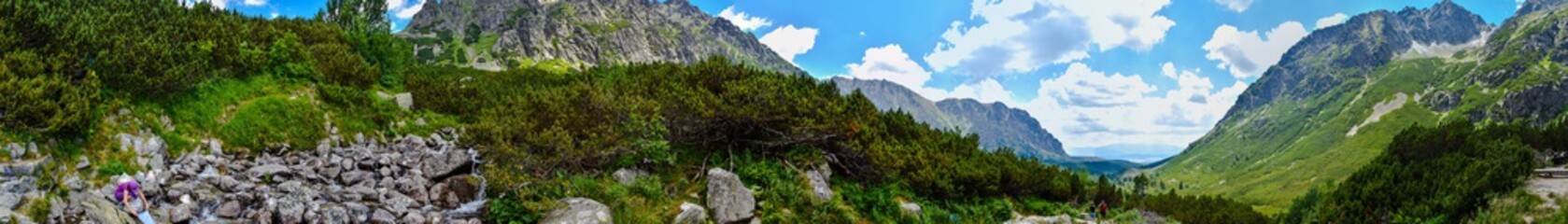 panorama of rocky mountains in summer
