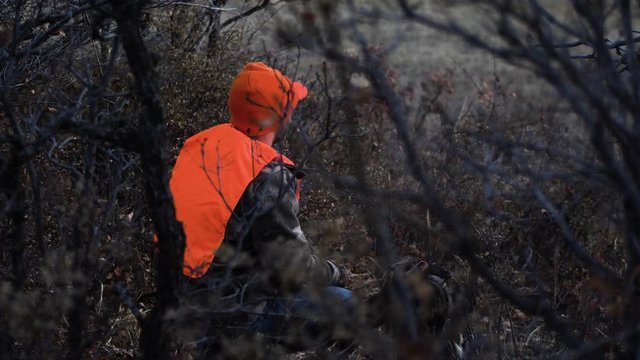 Hunter in orange waits in the brush for an animal. Medium Shot Handheld. 4K