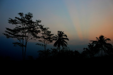 twilight scenery ( senja ) at the rice field area. 