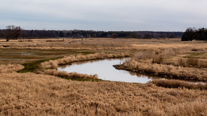 Dolina Górnej Narwi. Rzeka Narew. Wiosna na Podlasiu. Polska © podlaski49