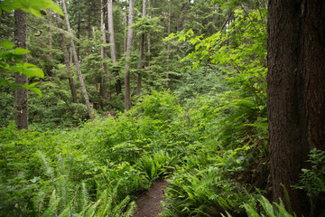 Obraz premium British Columbia