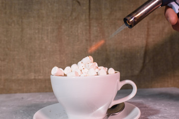 Delicious flavored cocoa marshmallows.