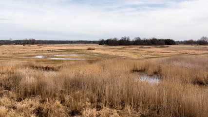 Dolina Górnej Narwi. Rzeka Narew. Wiosna na Podlasiu. Polska