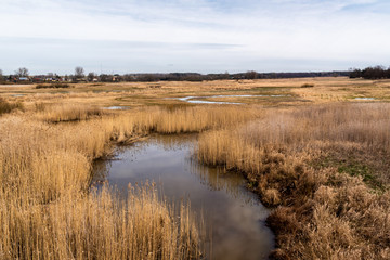 Dolina Górnej Narwi. Rzeka Narew. Wiosna na Podlasiu. Polska © podlaski49