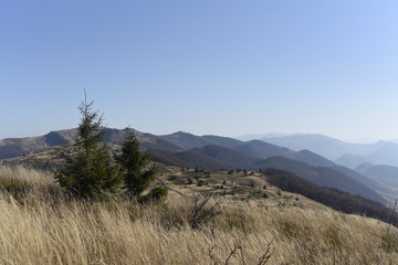 Bieszczady Mountain park with top view in high sun