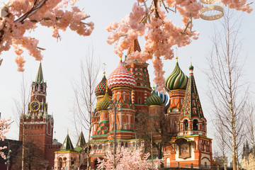 Moscow, Russia, April 16, 2018 - St. Basil's Cathedral, the Kremlin and Vasilyevsky Descent in the spring surrounded by artificial sakura trees, installation. - 332764345