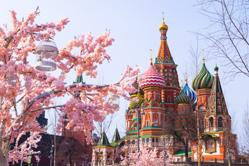 Moscow, Russia, April 16, 2018 - St. Basil's Cathedral, the Kremlin and Vasilyevsky Descent in the spring surrounded by artificial sakura trees, installation. - 332764370