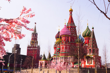 Moscow, Russia, April 16, 2018 - St. Basil's Cathedral, the Kremlin and Vasilyevsky Descent in the spring surrounded by artificial sakura trees, installation. - 332764393