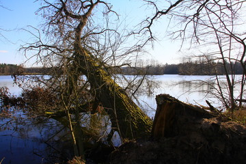 weiher