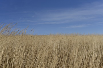 Bieszczady Mountain park with top view in high sun