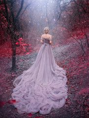 Silhouette woman queen walk in Autumn forest magic trees red leaves. Elegant blonde princess. Royal...