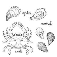 Oyster, mussel, crab. Black line sketch collection of seafood isolated on white background. Doodle hand drawn fish and seafood icons. Vector illustration