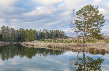 Obraz premium beautiful lake in front of a pine forest
