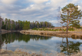 beautiful lake in front of a pine forest