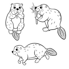 Cute cartoon wild beaver vector coloring set. Beaver in different postures. Coloring book of forest animals for kids. Isolated on white background