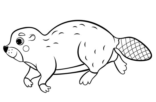 Cute cartoon wild swimming beaver vector coloring page outline. Coloring book of forest animals for kids. Isolated on white background