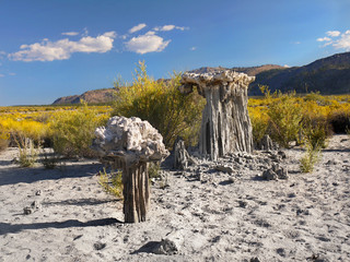 Mono lake tufa rocks formations in California USA