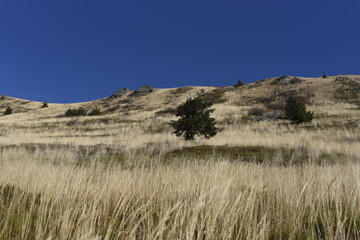 Bieszczady Mountain park with top view in high sun