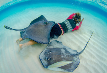 The underwater marine animals of Grand Cayman