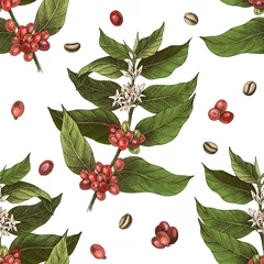Nahtloses Muster mit bunten handgezeichneten Kaffeebaumzweigen und Bohnen © Marina Gorskaya
