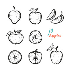 Apple Fruit Vector Set. Hand Drawn Doodle Apples with Leaves and Apple Slices. Black and White Fruits. Healthy Summer Food Collection