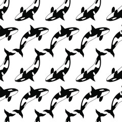 Seamless pattern of Sea animal killer whale. eps10 vector stock illustration. 