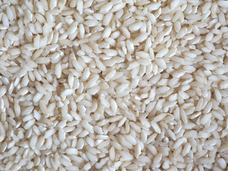 carnaroli rice food