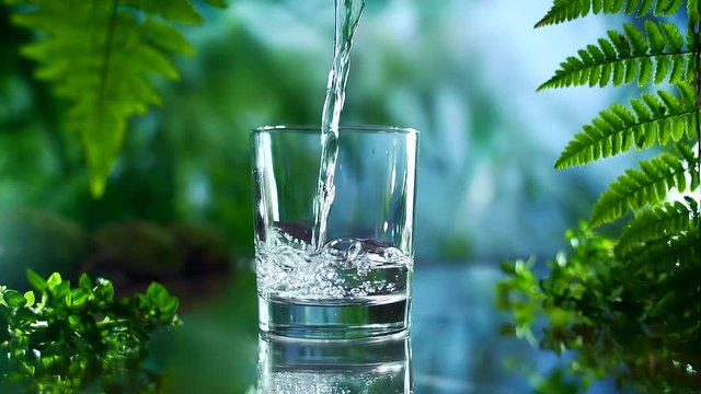 spring  Mineral water is poured into a glass. Slow motion. healthy natural lifestyle. on nature background. pure water between plants. close up. Isolated