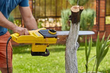 Lumberjack sawing a tree with a saw. A man cuts trees with a saw and professional tools. concern...