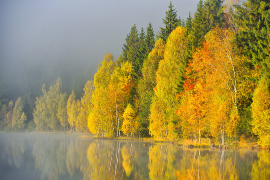 Autumn landscape in the mountains with trees reflecting in the water at St. Ana's lake, Romania © Daniel CHETRONI