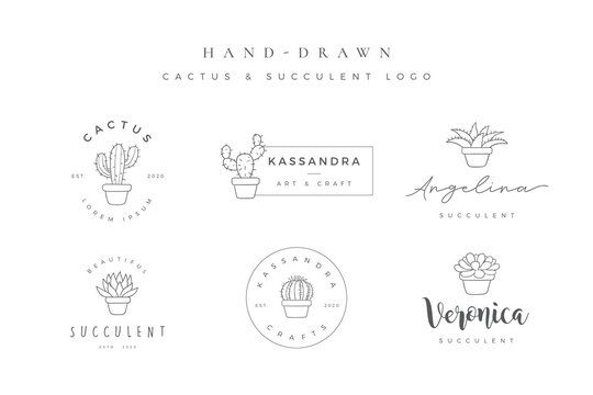 Minimalist hand drawn cactus and succulent logo