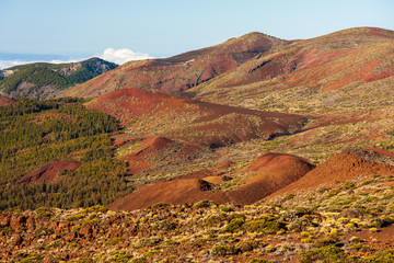 Vulkanlandschaft mit Strauchbewuchs auf Teneriffa in Spanien