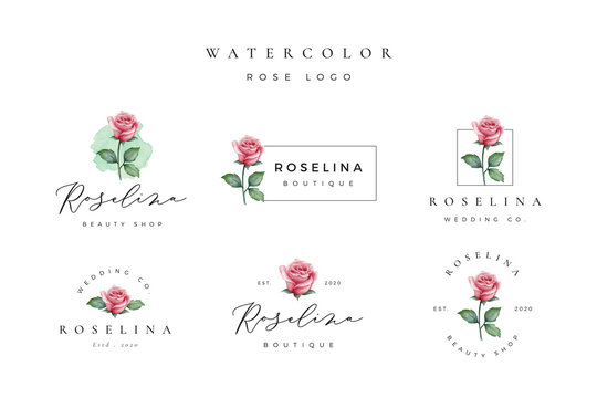 Beautiful watercolor rose logo