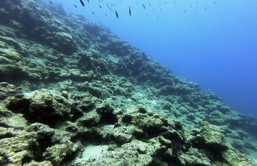 Underwater Scene Background, Diving