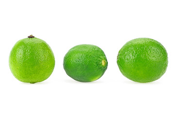 Three lime fruits isolated on a white background, close up.