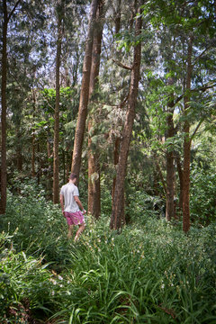 Caucasian men walking and exploring a trek trail in a forest