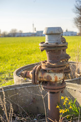 Fototapeta premium Bewässerung, rostiger Hydrant am Feld