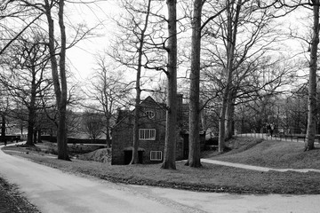 An old house hidden behind trees
