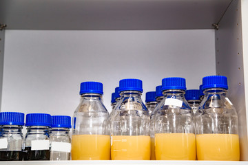 Group of laboratory flasks containing liquid color