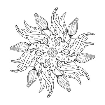 Coloring book with mandala. Mandala with lily and tulip flowers, leaves with a black line on a white background in cartoon style. Ornamental botanical mandala illustration.